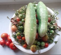 Weidling (schüssel)