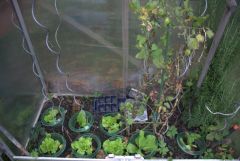 Blick ins glück Blick ins glück