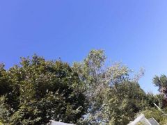 Bilderbuch-himmel Bilderbuch-himmel