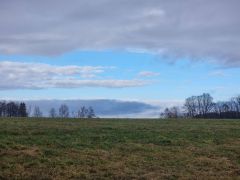 Wiese meiner kindheit