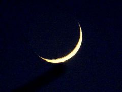 Mondsichel vom 31. Jan. 2025 Mondsichel vom 31. Jan. 2025