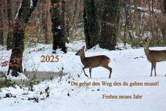 Guten Rutsch ins neue Jahr Guten Rutsch ins neue Jahr