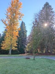 Sonnenstrahlen Sonnenstrahlen