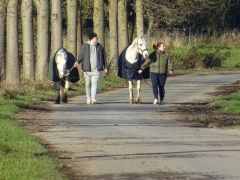 Abendspaziergang Abendspaziergang