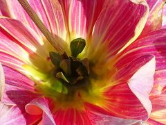 Innenleben Innenleben