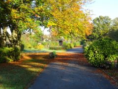 Weg Im Herbst Weg Im Herbst