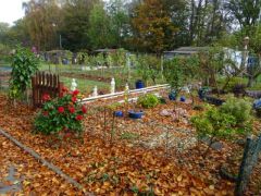 Spätsommer Spätsommer