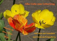 Für Peter Für Peter