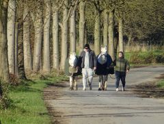 Abendspaziergang Abendspaziergang