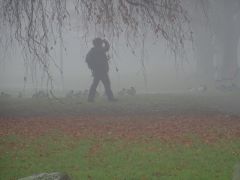 Im Nebel fotografieren Im Nebel fotografieren