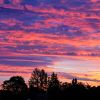 Am Morgen