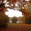 Park im Herbst