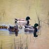 Enten