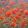 Mohnblumen