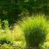 Energie der Natur