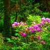 Blumenstrauch