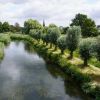 Die Niers in Goch