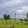 Storchennest