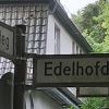 Edle Katzen