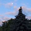 Am Tageslicht