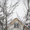 Schnee-dach