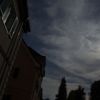 Der flug des phönix