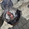 Grillen