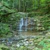 Mitten im wald