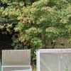 Herbst