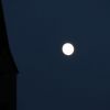 Mond